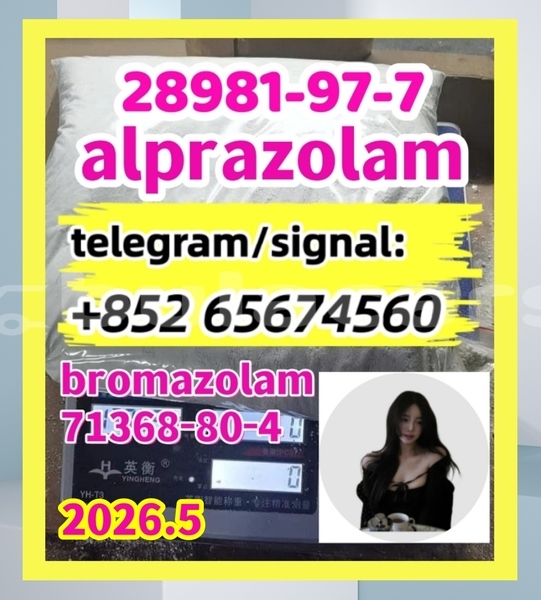 Big with watermark alp1 %e5%89%af%e6%9c%ac