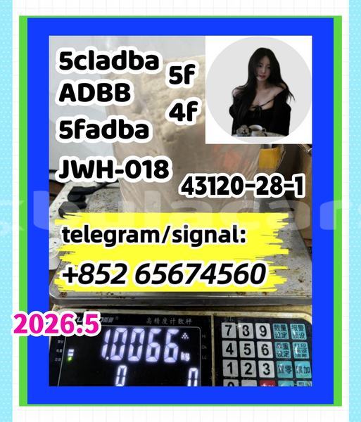Big with watermark suoyou%e6%89%80%e6%9c%892 %e5%89%af%e6%9c%acsfgdht %e5%89%af%e6%9c%ac