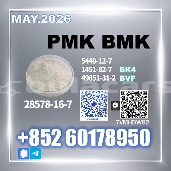 Big with watermark pmk cas 28578 16 7 ethyl glycidate