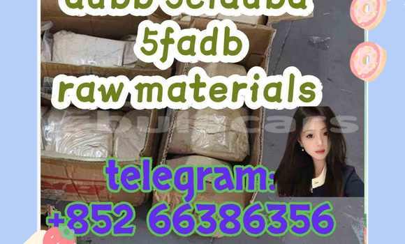 Medium with watermark 1