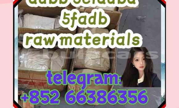 Medium with watermark 2