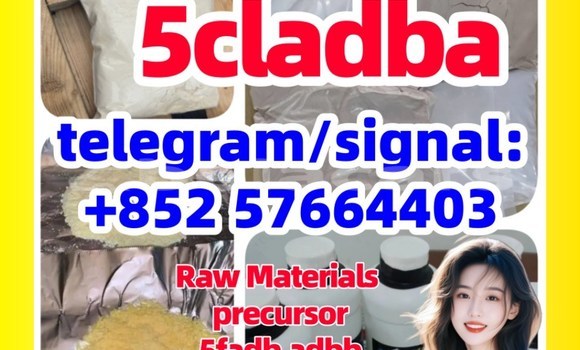 Acheter 5cladba 5f raw material à Import - Dubai, Central Acheter 5cladba 5f raw material à Import - Dubai, Central