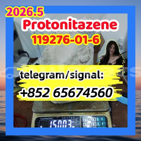 Big with watermark pro2 %e5%89%af%e6%9c%ac
