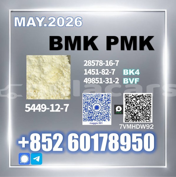 Big with watermark bmk cas 5449 12 7 glycidic acid