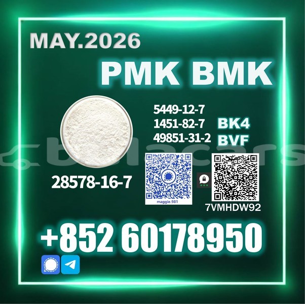 Big with watermark pmk cas 28578 16 7 long term