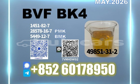 Medium with watermark bvf cas 49851 31 2 factory direct supply