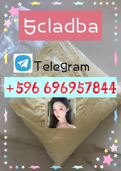 Big with watermark photo 2026 04 29 09 41 26 %e5%89%af%e6%9c%ac