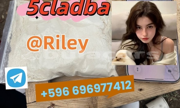 Medium with watermark 1.2 %e5%89%af%e6%9c%ac