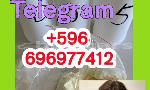 Medium with watermark 1.3