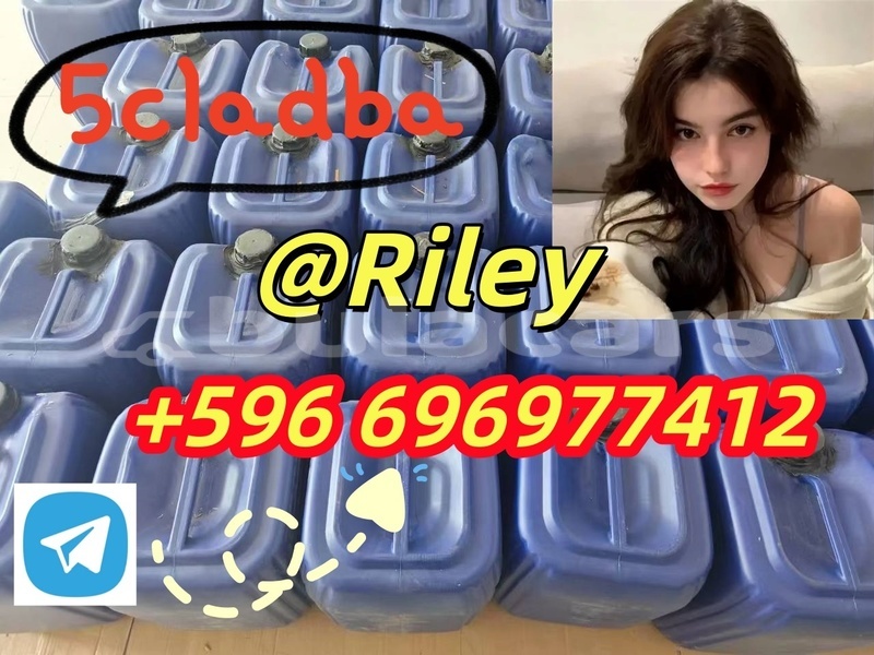 Big with watermark 1.6 %e5%89%af%e6%9c%ac