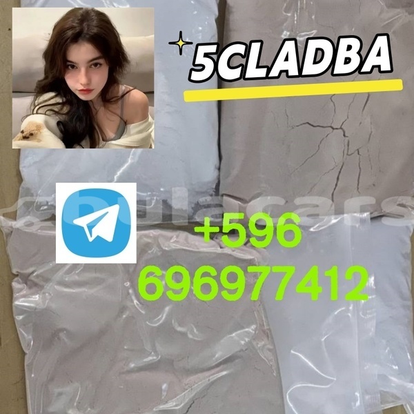 Big with watermark 1.8 %e5%89%af%e6%9c%ac