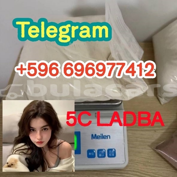 Big with watermark 1.9 %e5%89%af%e6%9c%ac