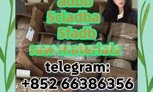 Medium with watermark 1