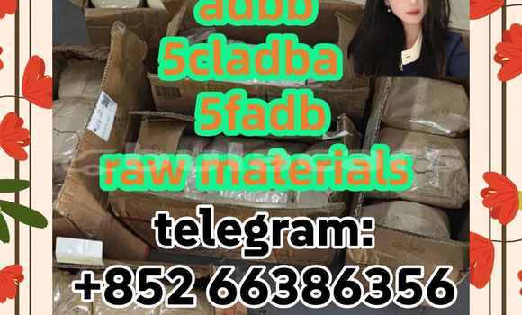 Medium with watermark 2