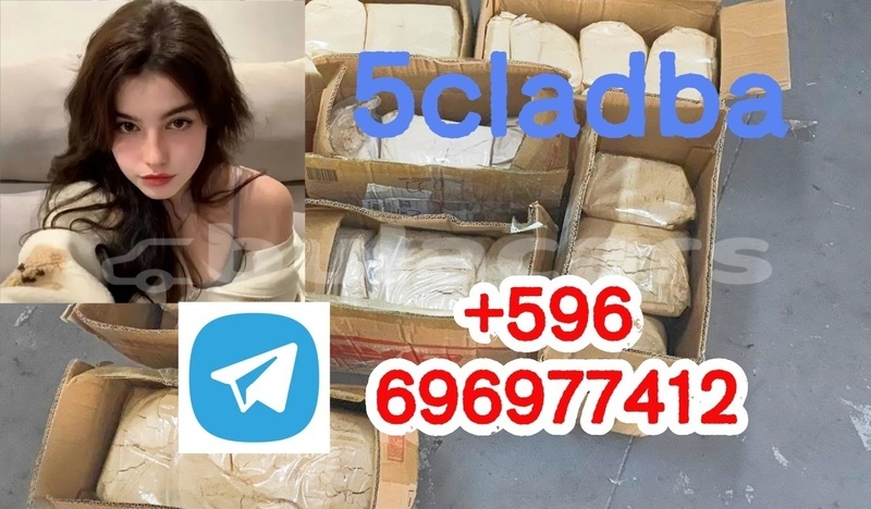 Big with watermark 2.4 %e5%89%af%e6%9c%ac