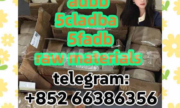 Medium with watermark 6