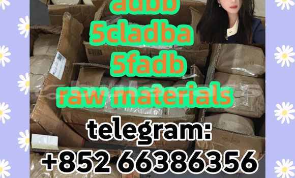 Medium with watermark 10