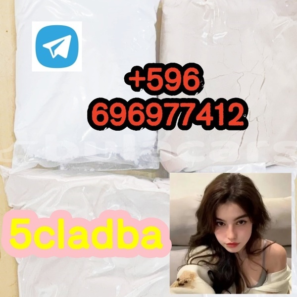 Big with watermark 4.2