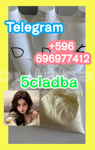 Big with watermark 2.8