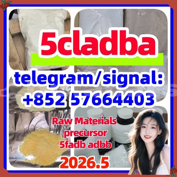 Big with watermark 551