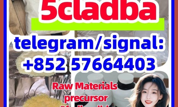 Medium with watermark 551