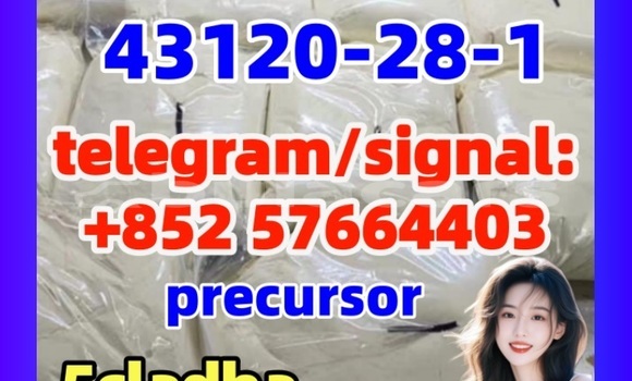 Medium with watermark 5431 1 