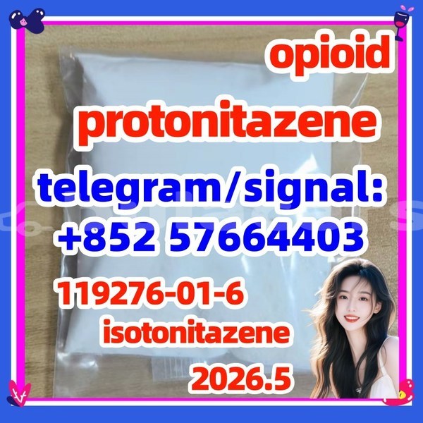 Big with watermark p1