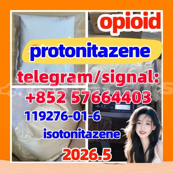 Big with watermark p11