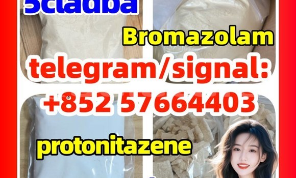 Medium with watermark z1