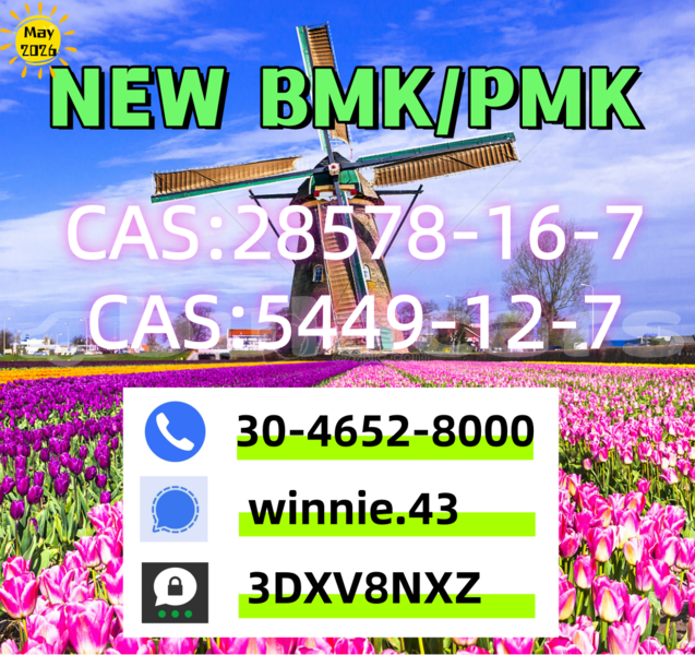 Big with watermark 5.8