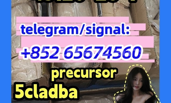 Medium with watermark photo 2026 03 04 10 21 45 %e5%89%af%e6%9c%ac