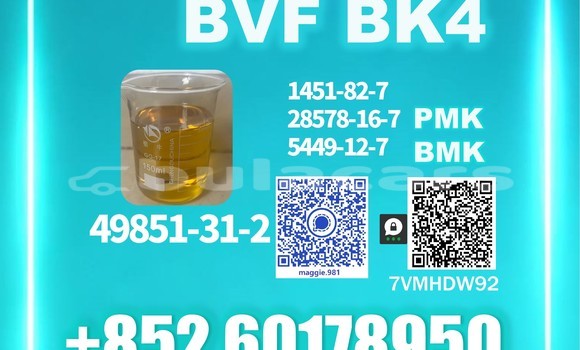 Medium with watermark bvf cas 49851 31 2 stable quality
