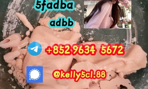 Medium with watermark 1 33