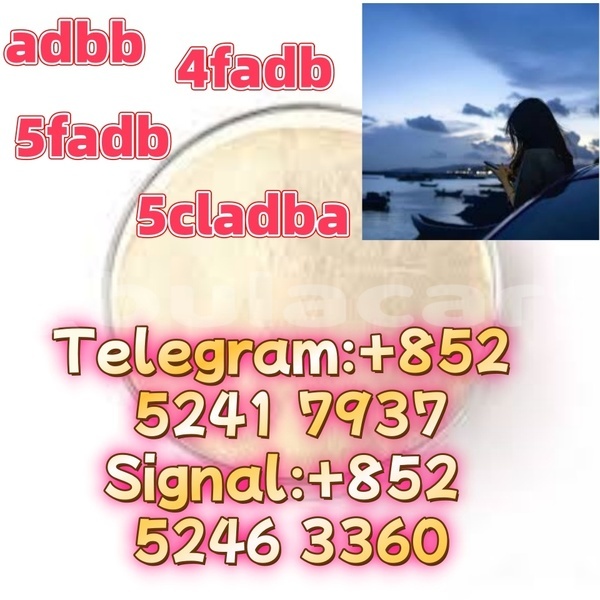 Big with watermark adler favorit western ba 15893