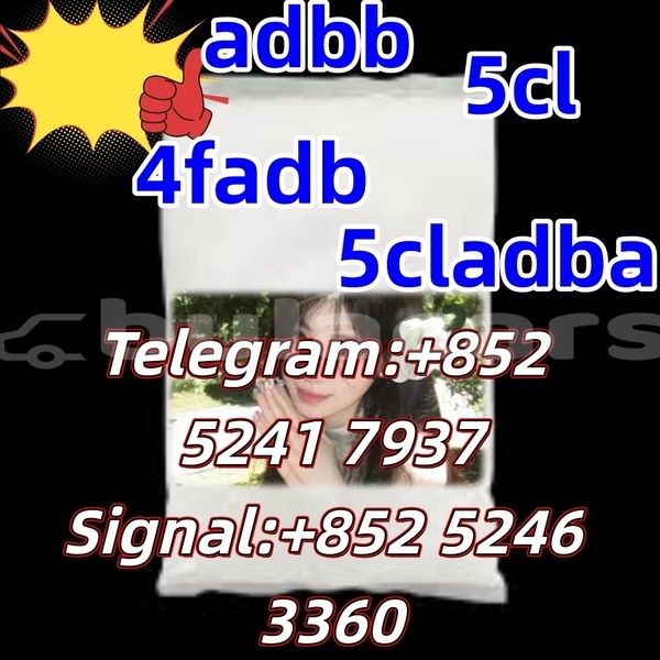 Big with watermark adler 1902 western ba 15896