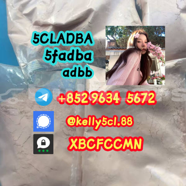 Big with watermark 1 14 