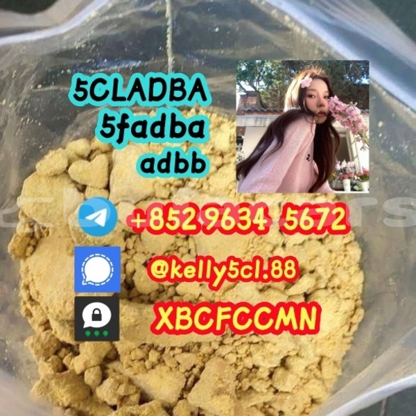 Big with watermark 1 13 