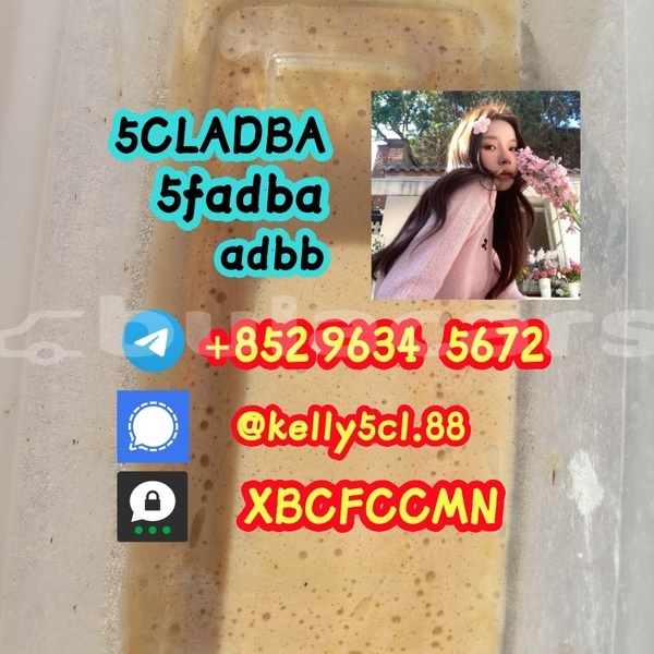 Big with watermark 1 11 