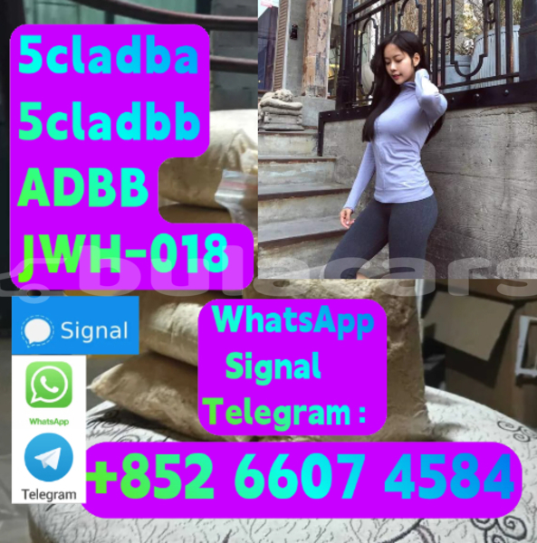 Big with watermark alpina b5 central deuba 15998
