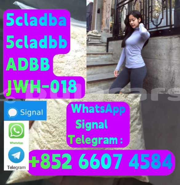 Big with watermark alpina b5 central deuba 15998