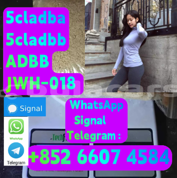 Big with watermark alpina b5 central deuba 15998