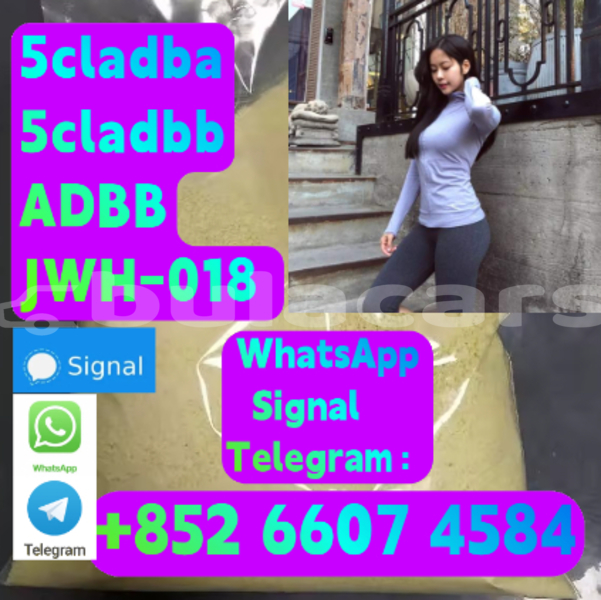 Big with watermark alpina b5 central deuba 15998