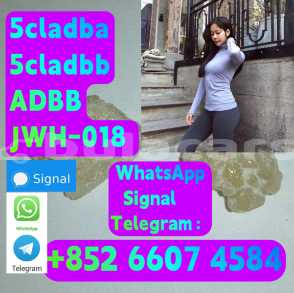Big with watermark alpina b5 central deuba 15998
