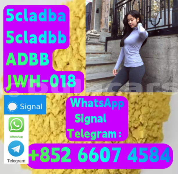 Big with watermark alpina b5 central deuba 15998