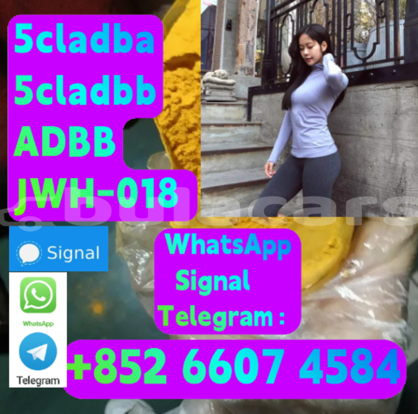 Big with watermark alpina b5 central deuba 15998