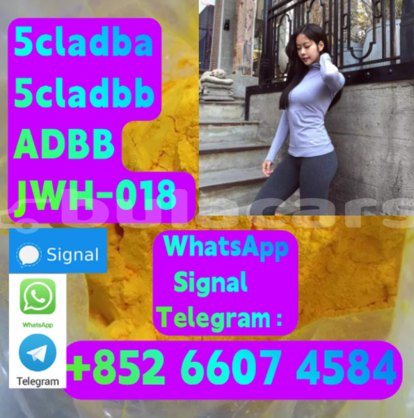 Big with watermark alpina b5 central deuba 15998