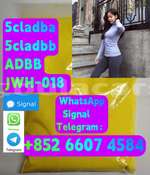 Big with watermark alpina b5 central deuba 15998