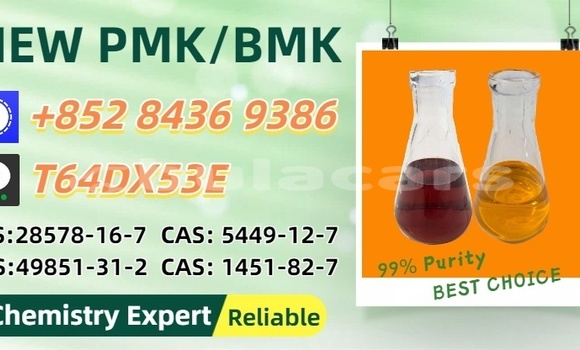 Buy Used Bertone Freeclimber Brown Car in Naroi in Eastern