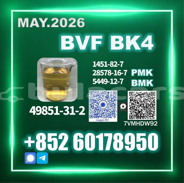 Big with watermark bvf cas 49851 31 2 high purity