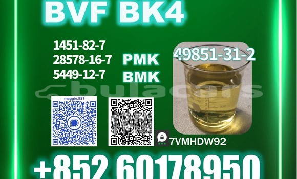 Medium with watermark bvf cas 49851 31 2 top factory